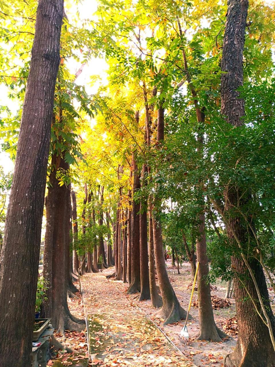 Meinong Yun Shanju Homestay Mei-nung Εξωτερικό φωτογραφία